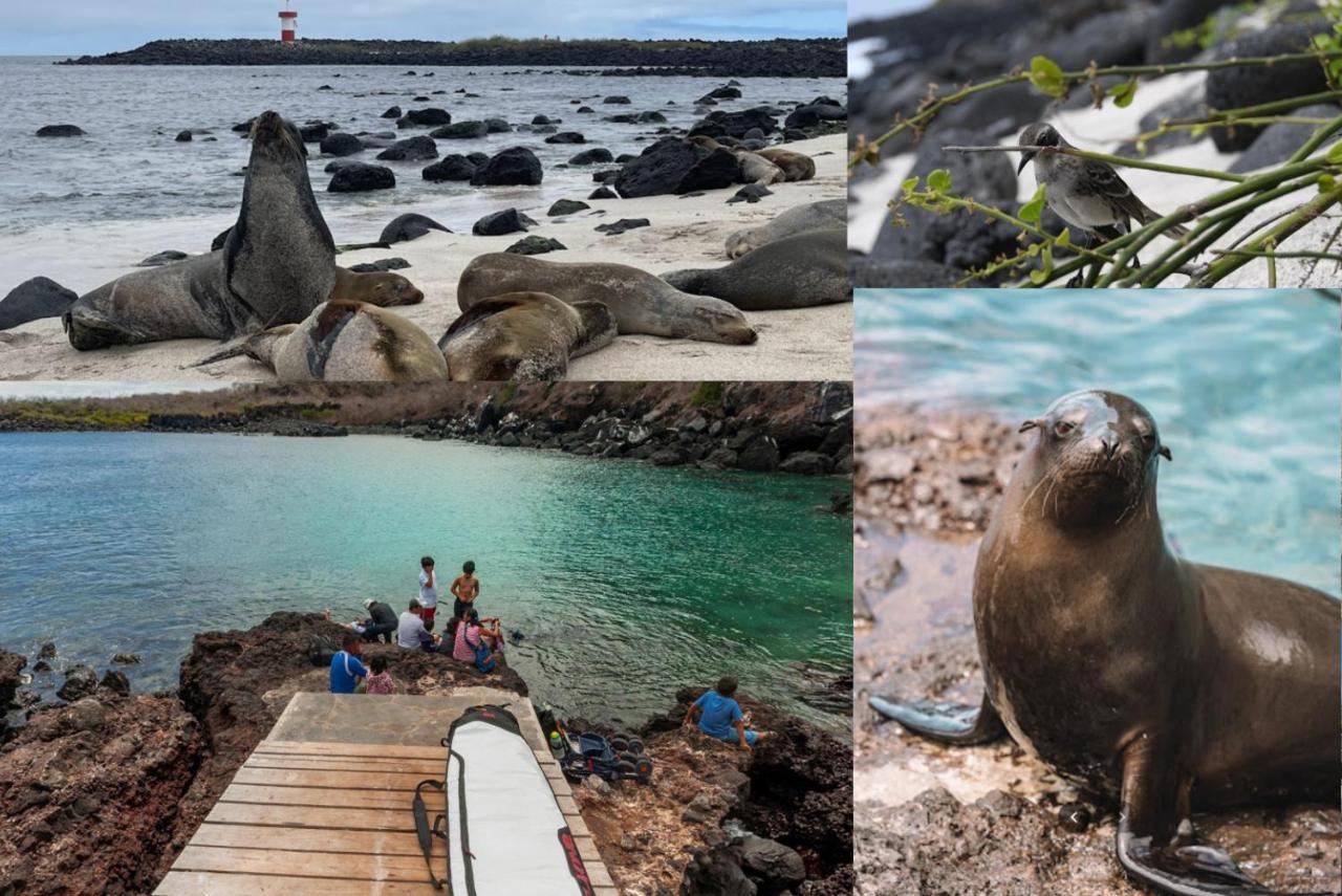 Blue Horizon - Galapagos Home プエルト・バケリソ・モレノ エクステリア 写真