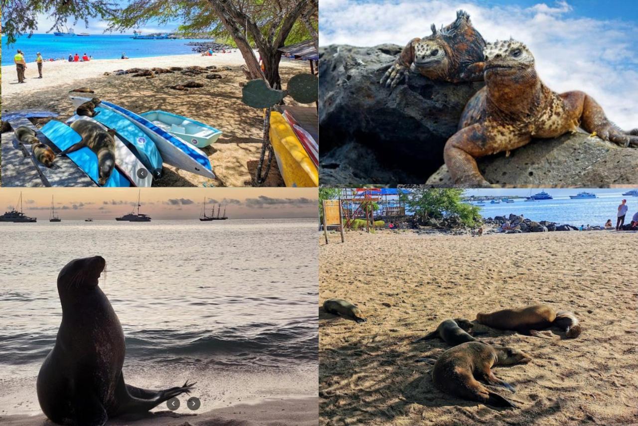 Blue Horizon - Galapagos Home プエルト・バケリソ・モレノ エクステリア 写真